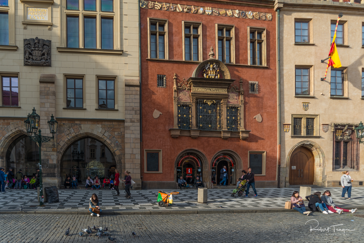 Feeding the Birds at Prague City Hall