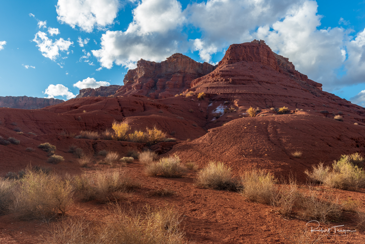 Desolation at Lonely Dell Ranch