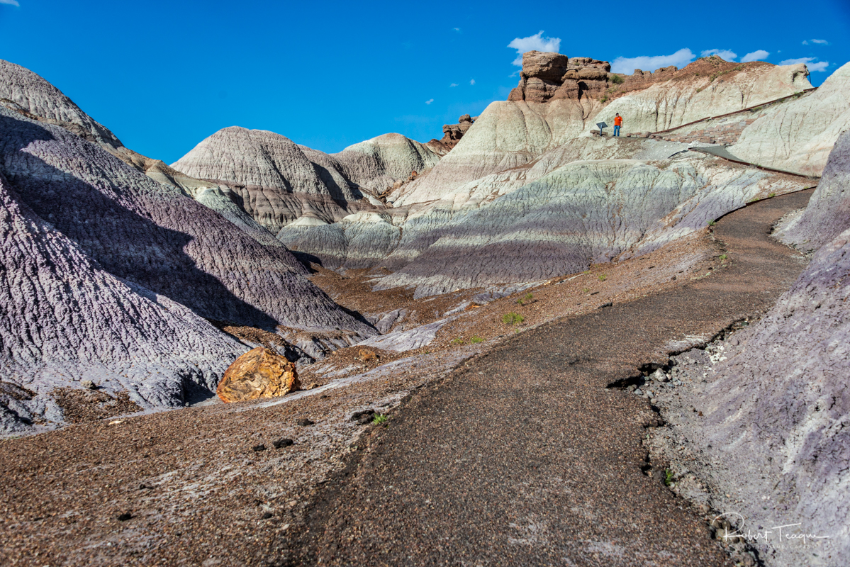 Looking Up at Blue Mesa Trail