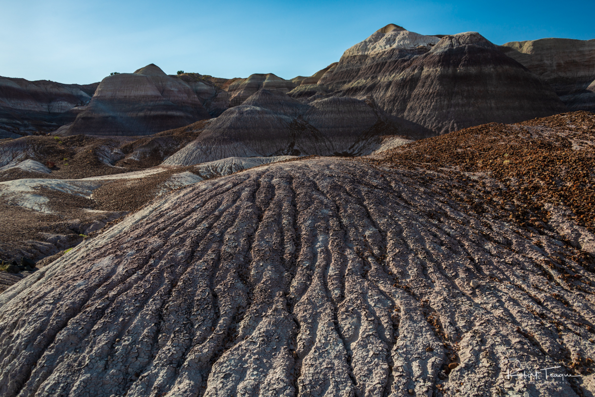 Bentonite Deposits