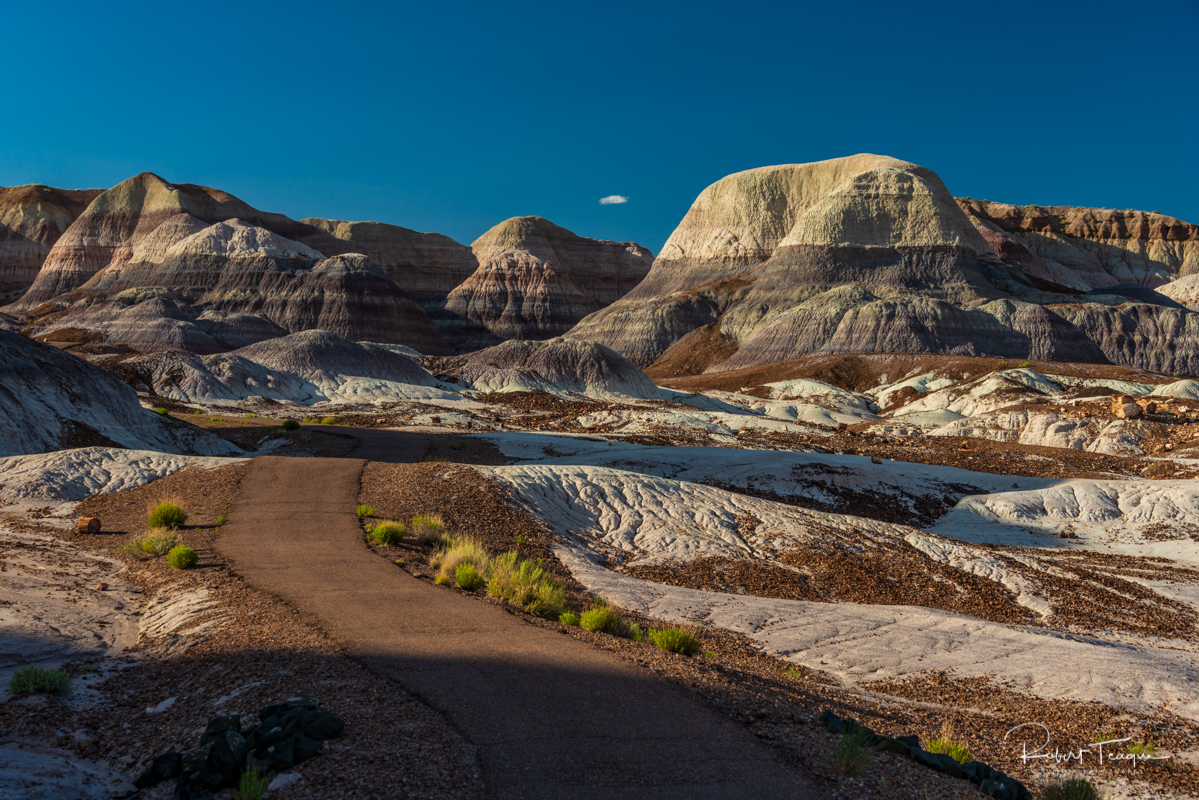 Hiking Trail at Blue Mesa