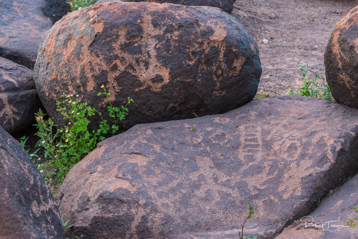 Rock Art, Gila Bend Petroglyphs