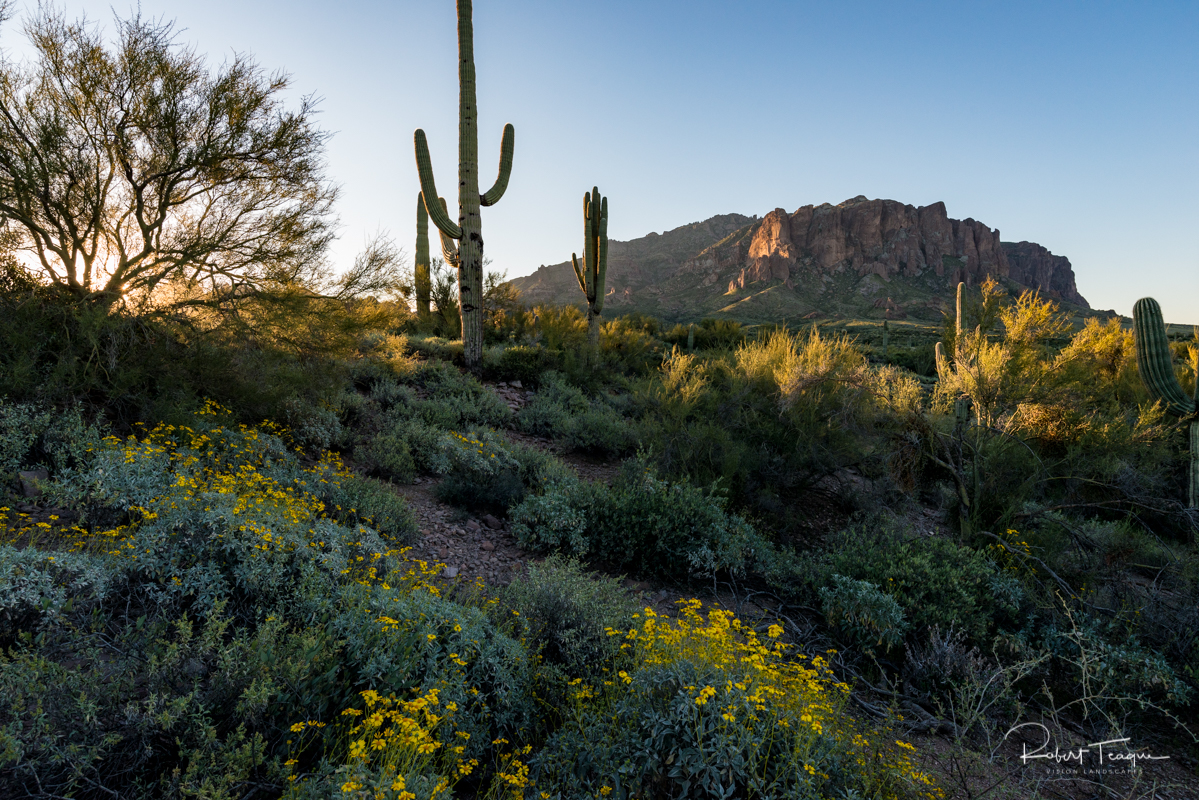 Spring in the Superstition Mountains