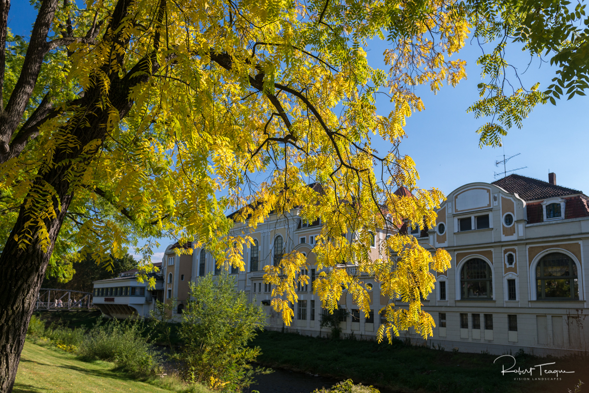 Spielbank Casino Through the Trees