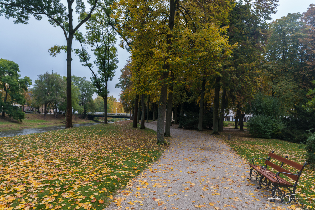 Park Bench along the Ahr