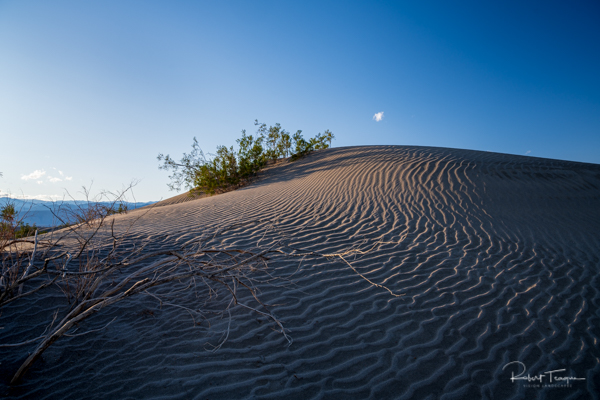 Dunes, Mesquite Flat Sand Dunes