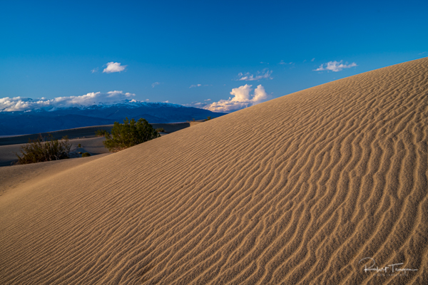 Late Afternoon, Mesquite Flat Sand Dunes