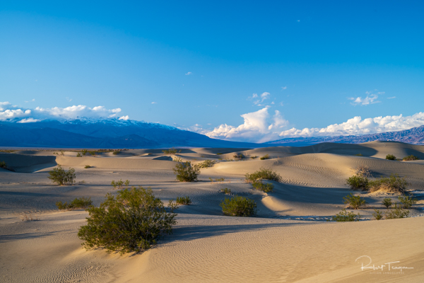 Late Afternoon, Mesquite Flat Sand Dunes