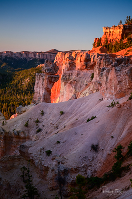 Early Morning Light, Bryce Canyon