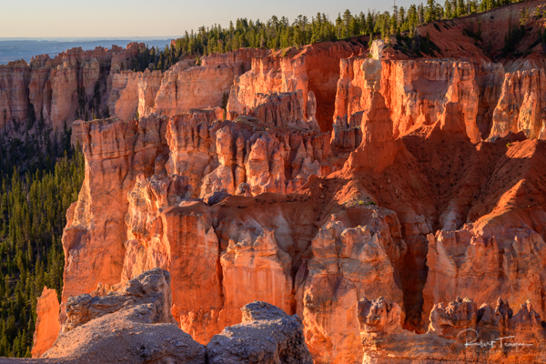 Early Morning Light, Bryce Canyon