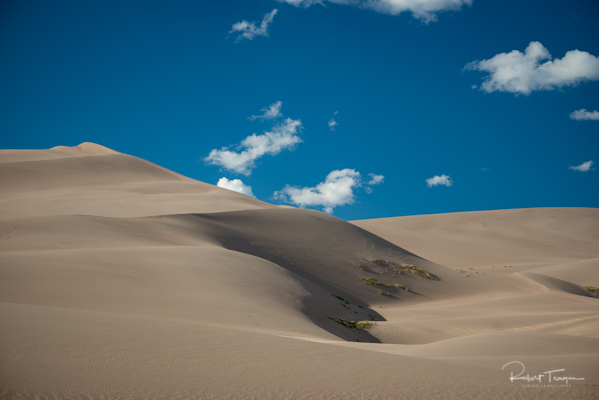 Dune Field at Great Sand Dunes