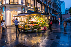 Vienna - Flower Seller on a Wet Evening in the Innere Stadt